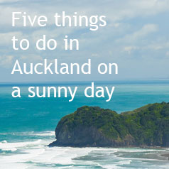 5-things-to-do-in-auckland-on-a-sunny-day-1